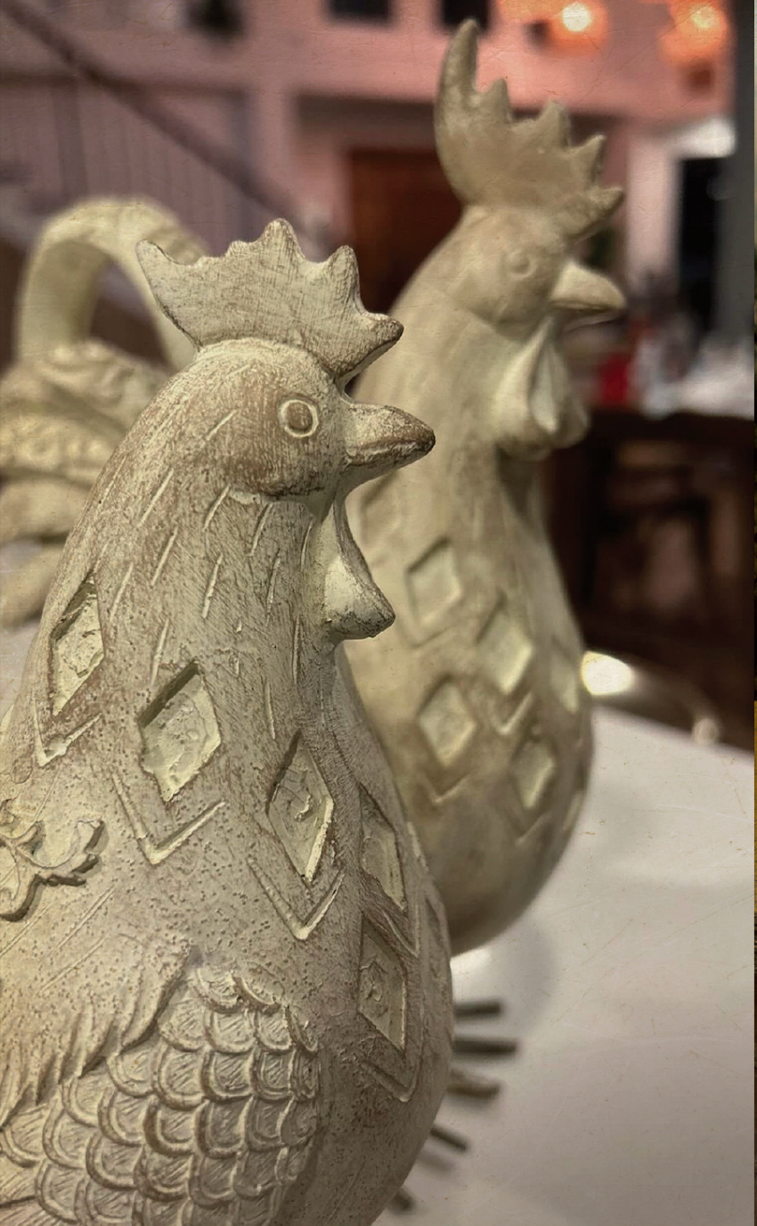 GALLO Y GALLINA
