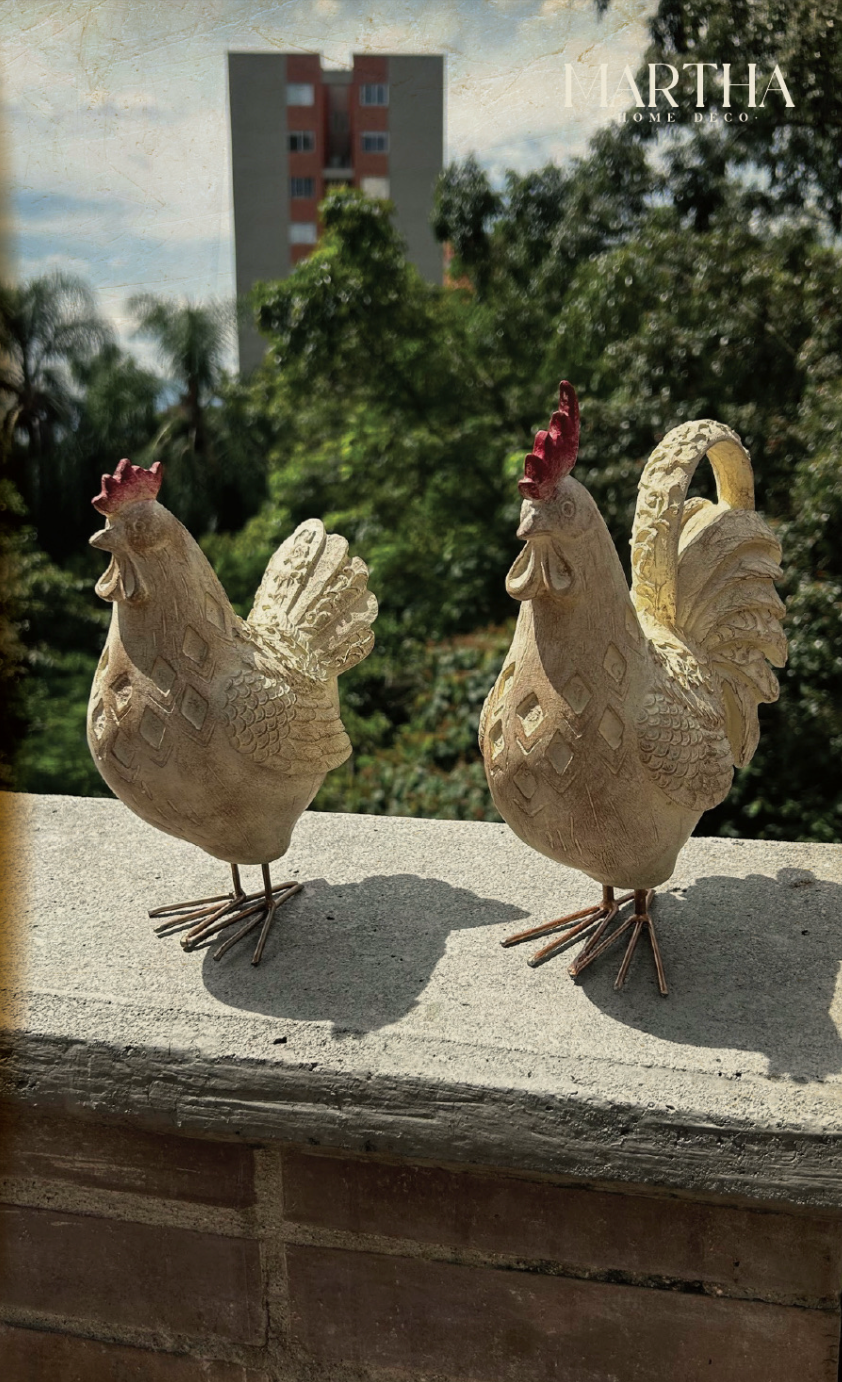 GALLO Y GALLINA