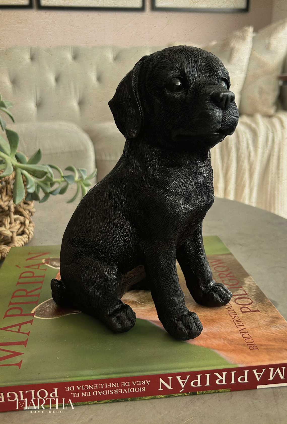 PERRITO