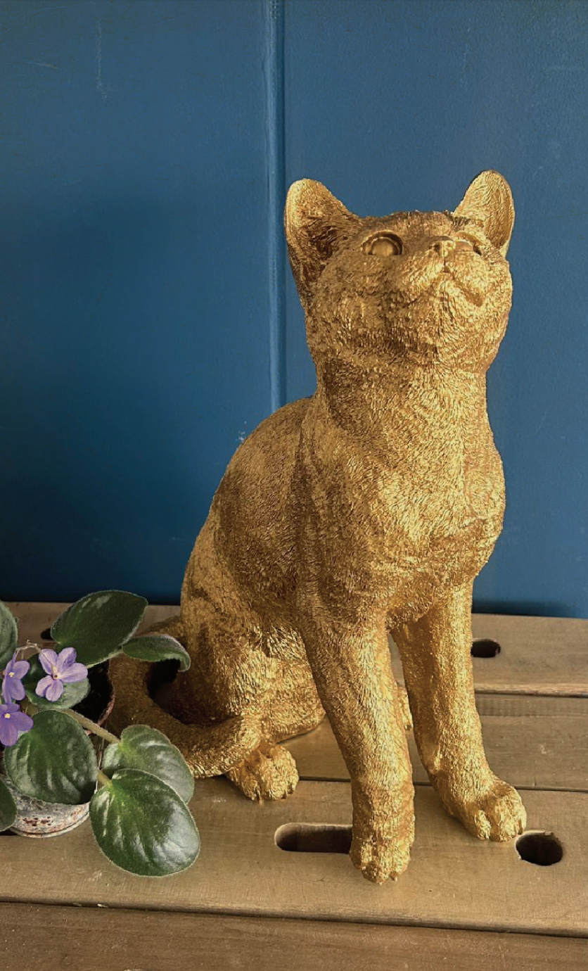 GATO