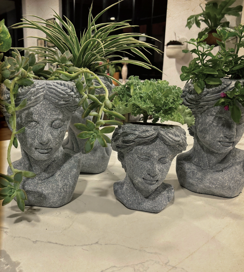 CABEZA GRANDE CON PLANTA