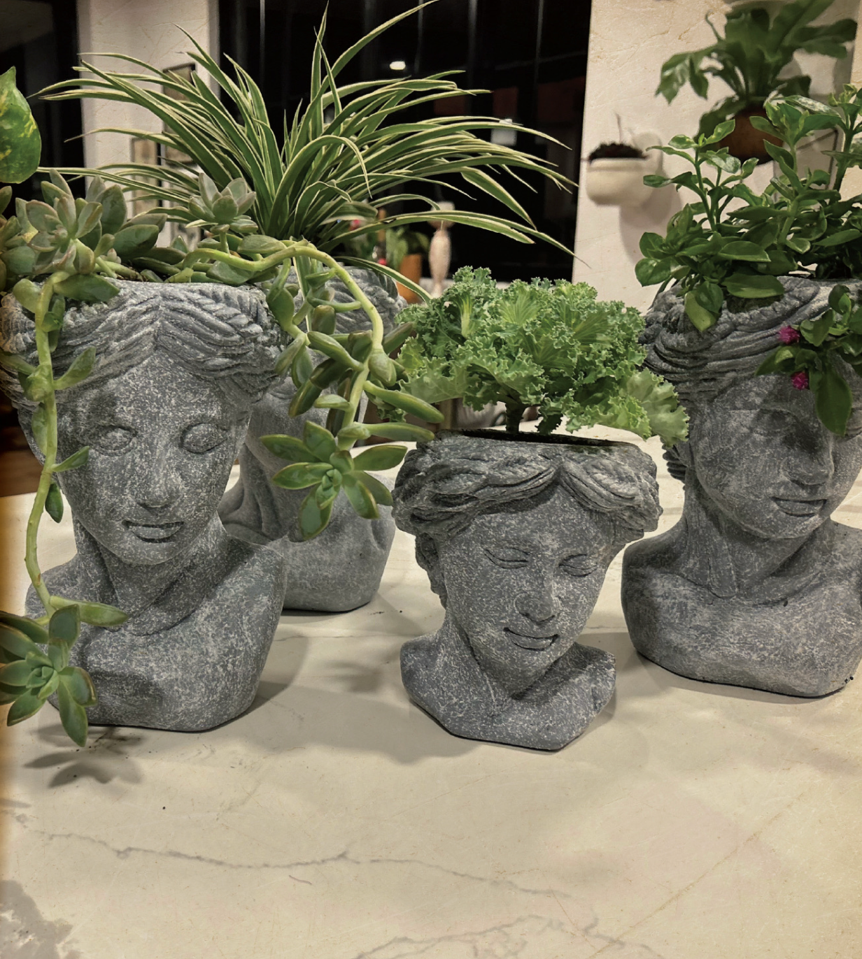 CABEZA GRANDE CON PLANTA