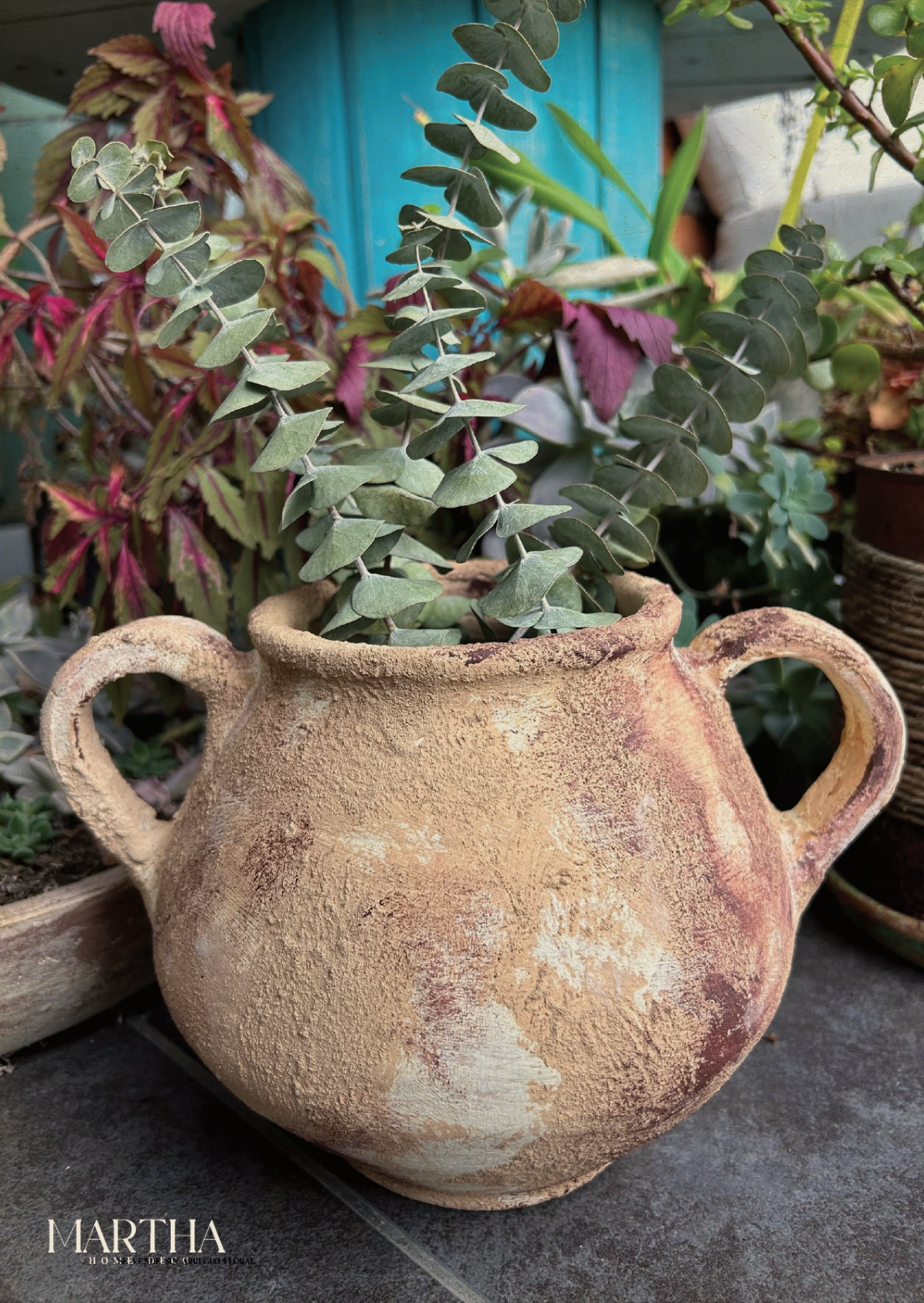 OLLA ANCESTROS